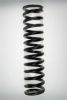 SPIDAN 49221 Coil Spring